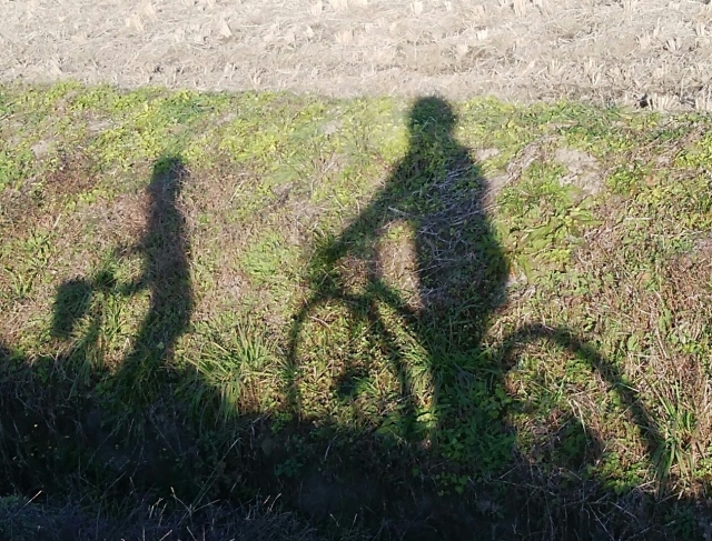 兄弟がそれぞれ自転車に乗っている影